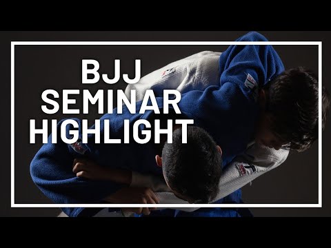 Ricardo Arona Seminar HL | Germany 2016