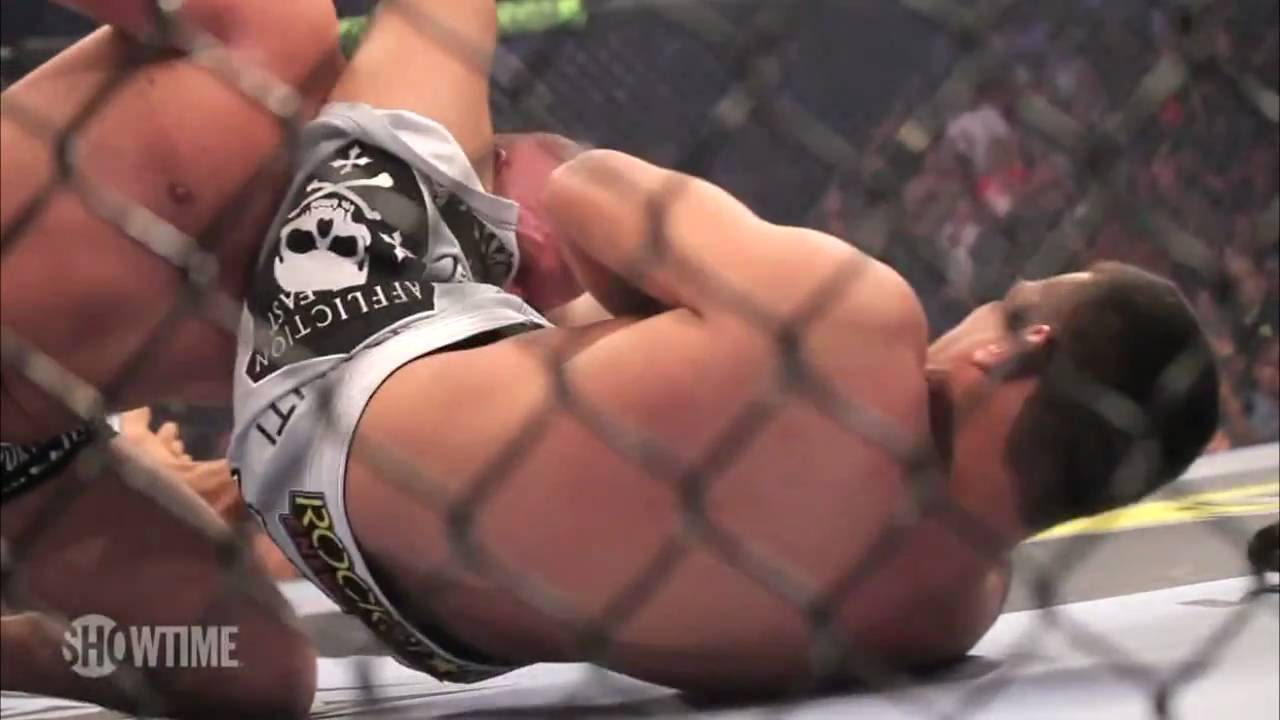 "Vai Cavalo" Fabricio Werdum Highlight by @LayzieTheSavage