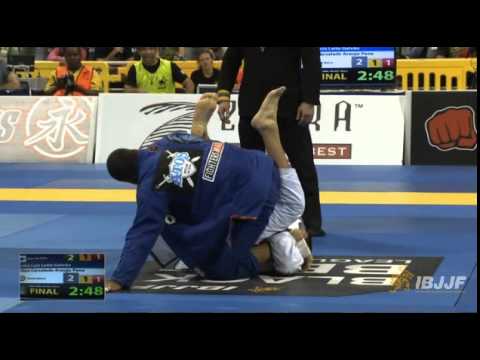 Felipe Pena Vs Andre Galvao Worlds 2014 Finals Heavy