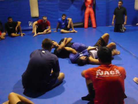 Renzo Gracie Arm-Lock Instructional