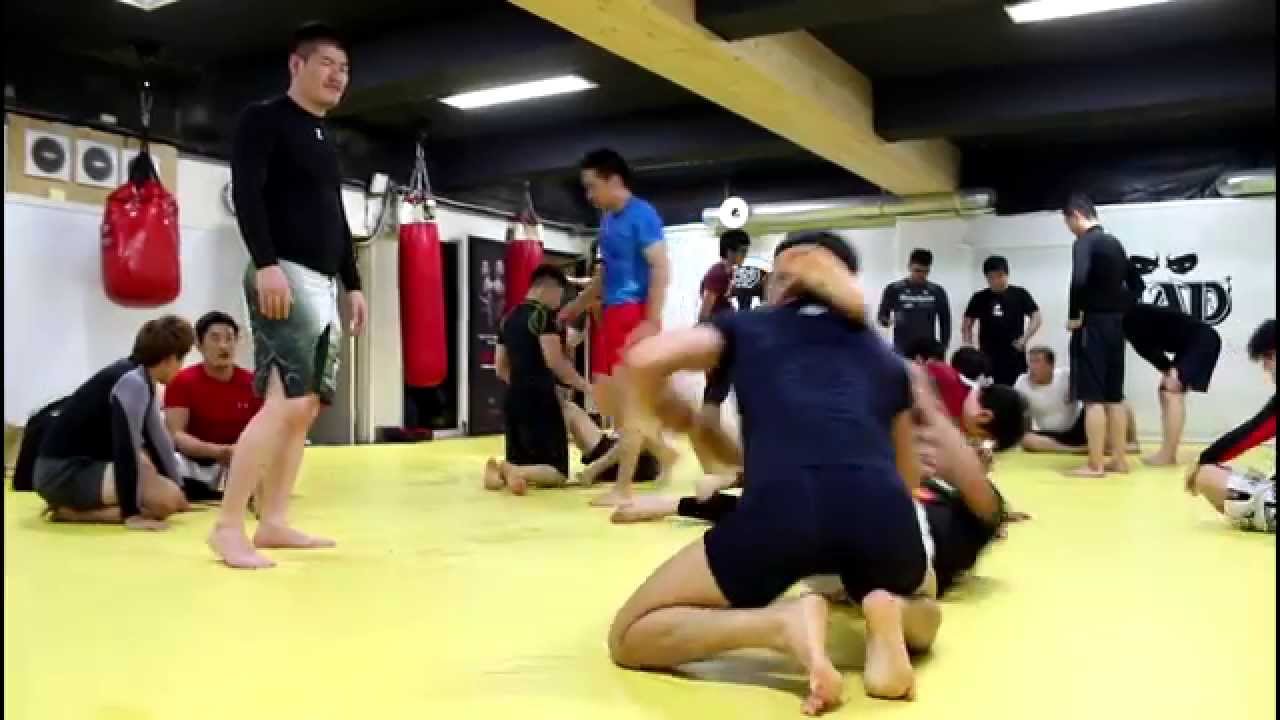 BJJ in Korea: Art of the Morning Calm