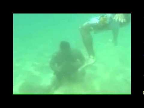 Xande And Saulo Ribeiro Underwater BJJ Training