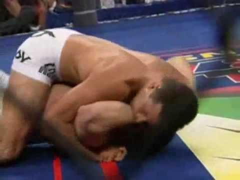 Brazilian Jiu Jitsu vs  Wrestling   Renzo Gracie