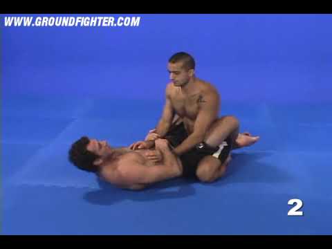 Eduardo Telles Turtle & Octopus Guard - Octopus Guard