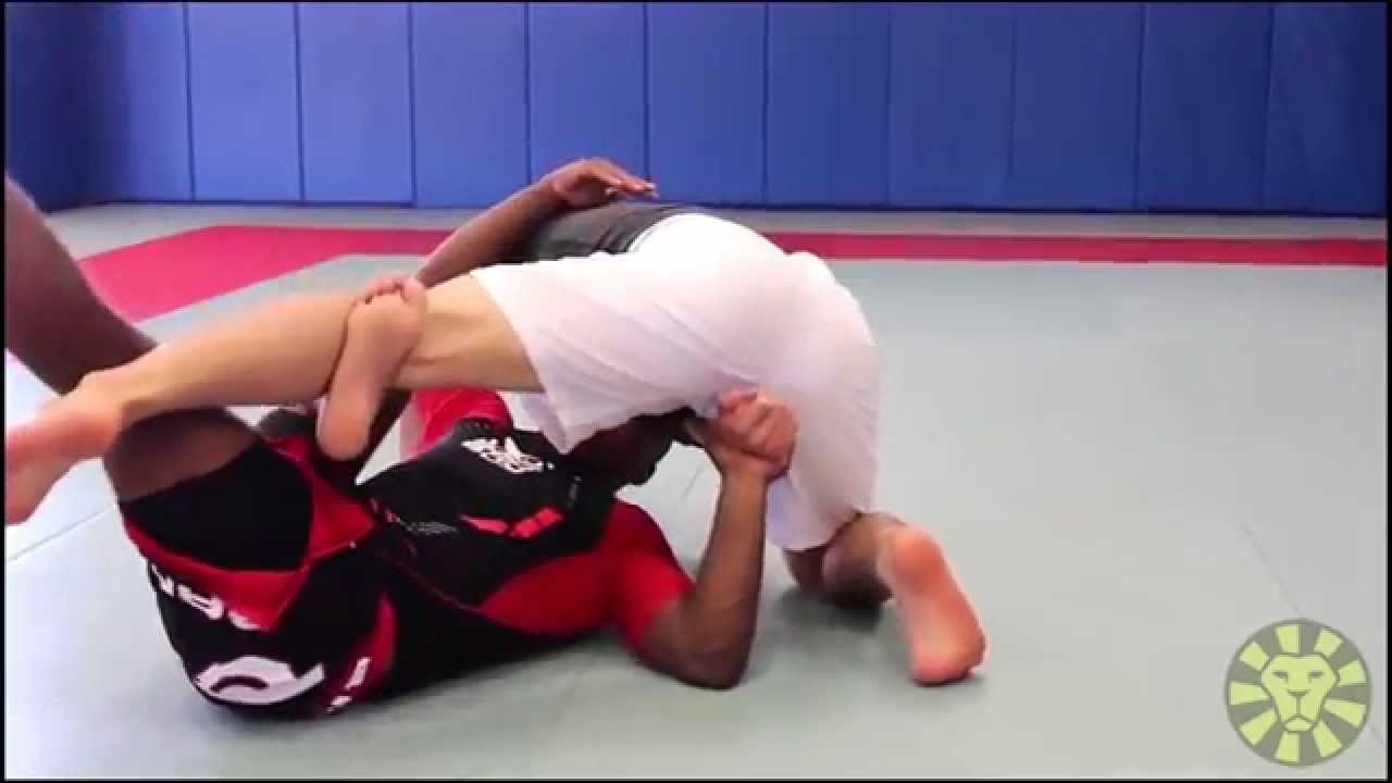 Wilson Reis Butterfly Sweep to Calf Slicer (BJJLIBRARY.COM)